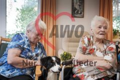 Eine alte Frau Seniorin streichelt einen Hund neben einer alten Frau Seniorin im Rollstuhl