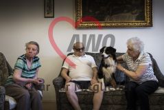 Eine alte Frau Seniorin streichelt einen Hund auf einem Sofa