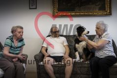 Eine alte Frau Seniorin streichelt einen Hund auf einem Sofa