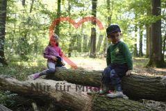 Mädchen und Junge im Wald auf einem Baumstamm sitzend